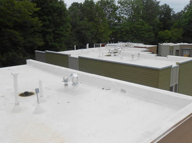 TPO Roofing
